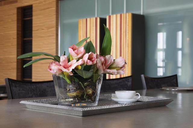 Appartement Cozy In The Heart Of